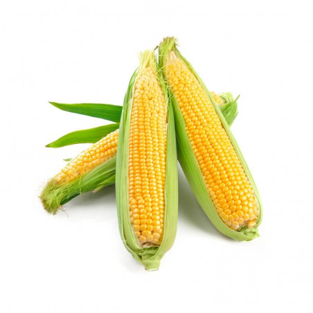 Mini Corn Cobs 625g